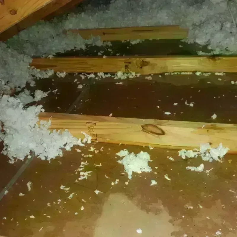 Attic Water Damage in Parksdale, CA