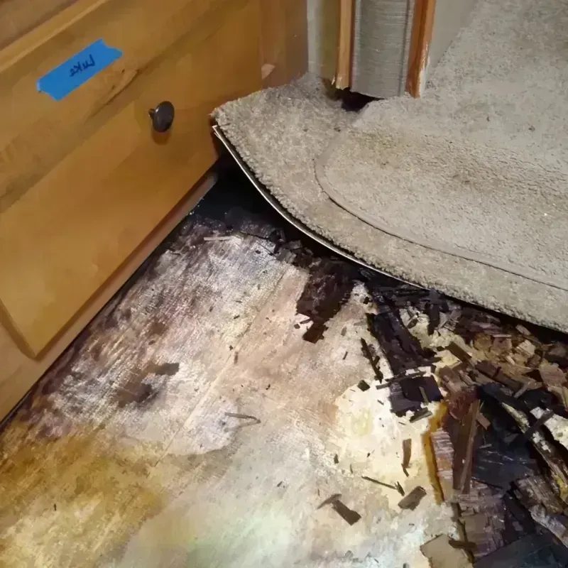 Wood Floor Water Damage in Parksdale, CA